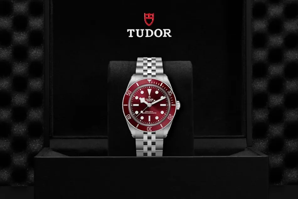 tudor-sida-2025