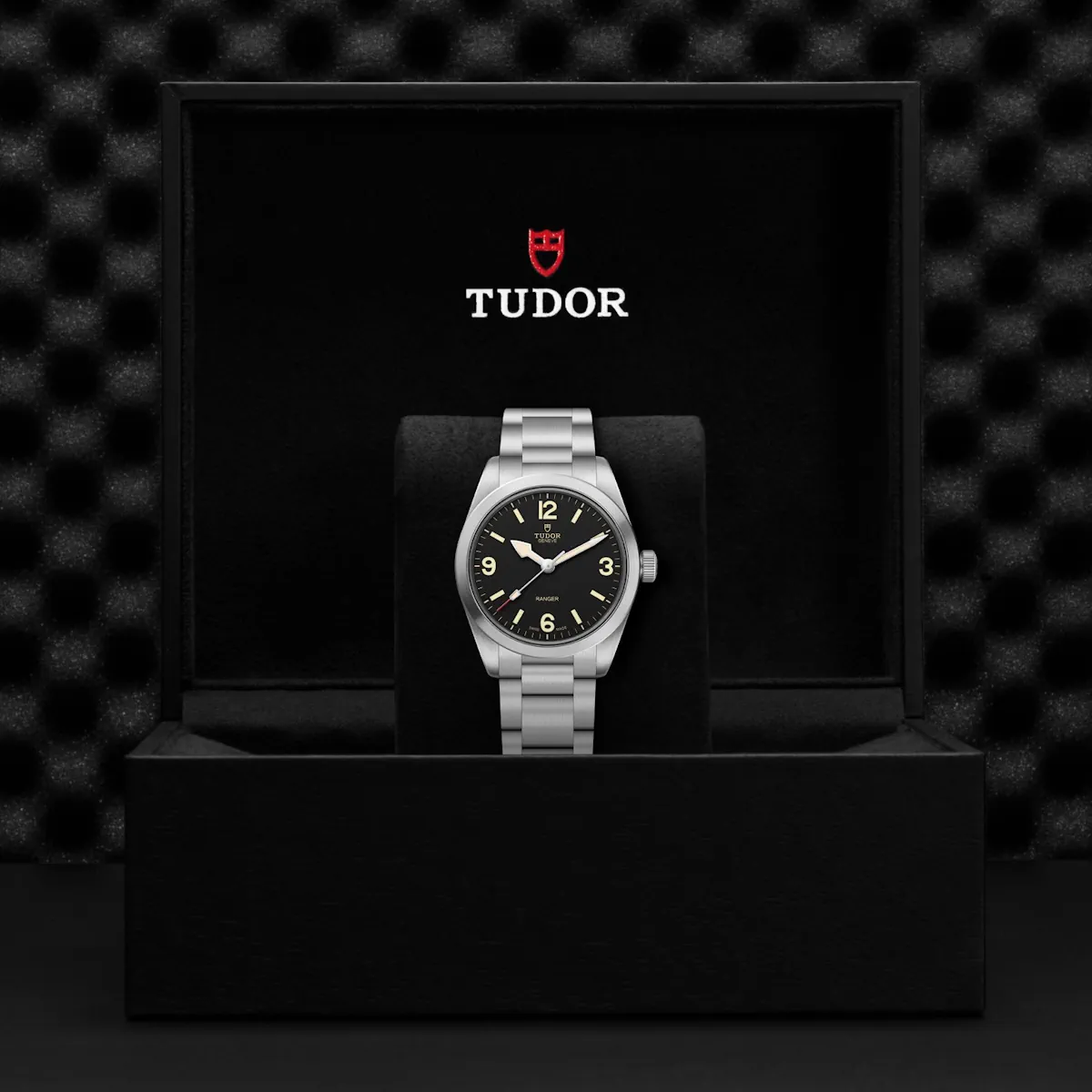 Tudor Ranger - Image 2