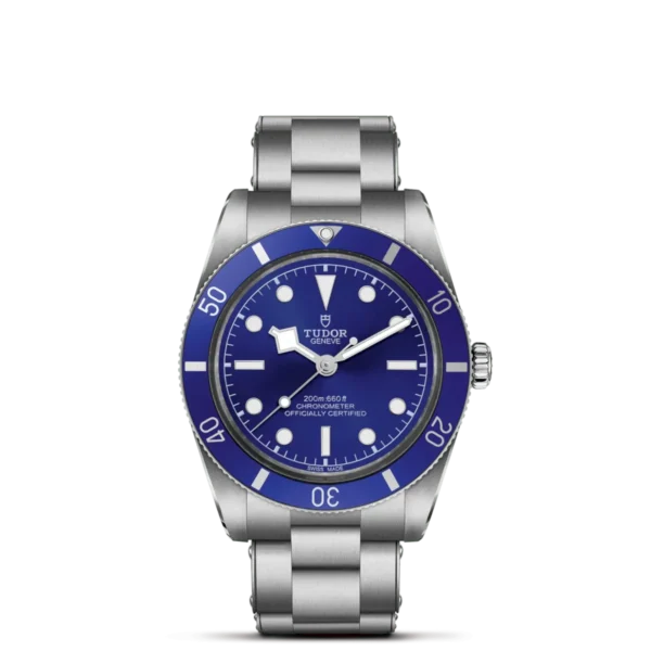 Tudor Black Bay 54